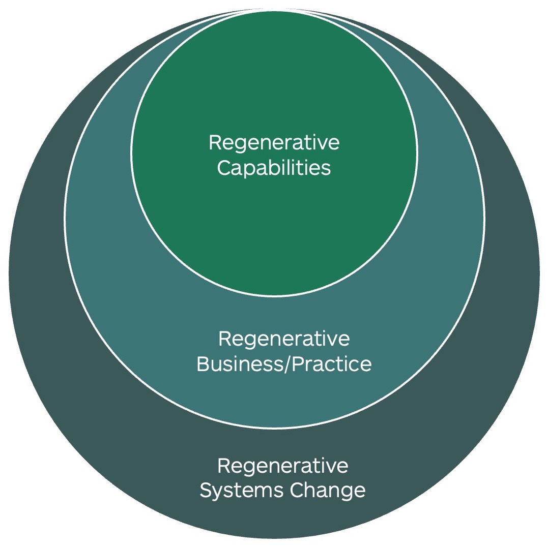 Regenesis School Nested Levels