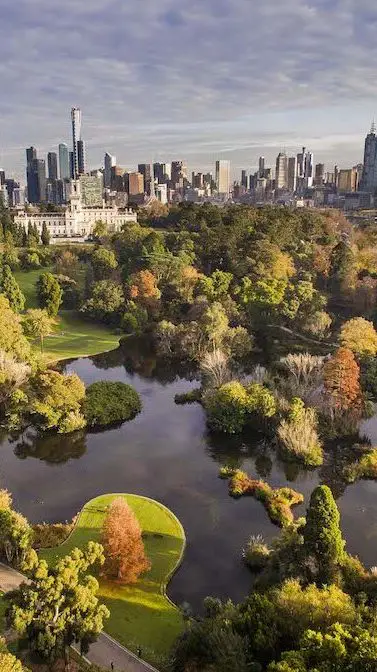 Melbourne Wetlands - Regenerat